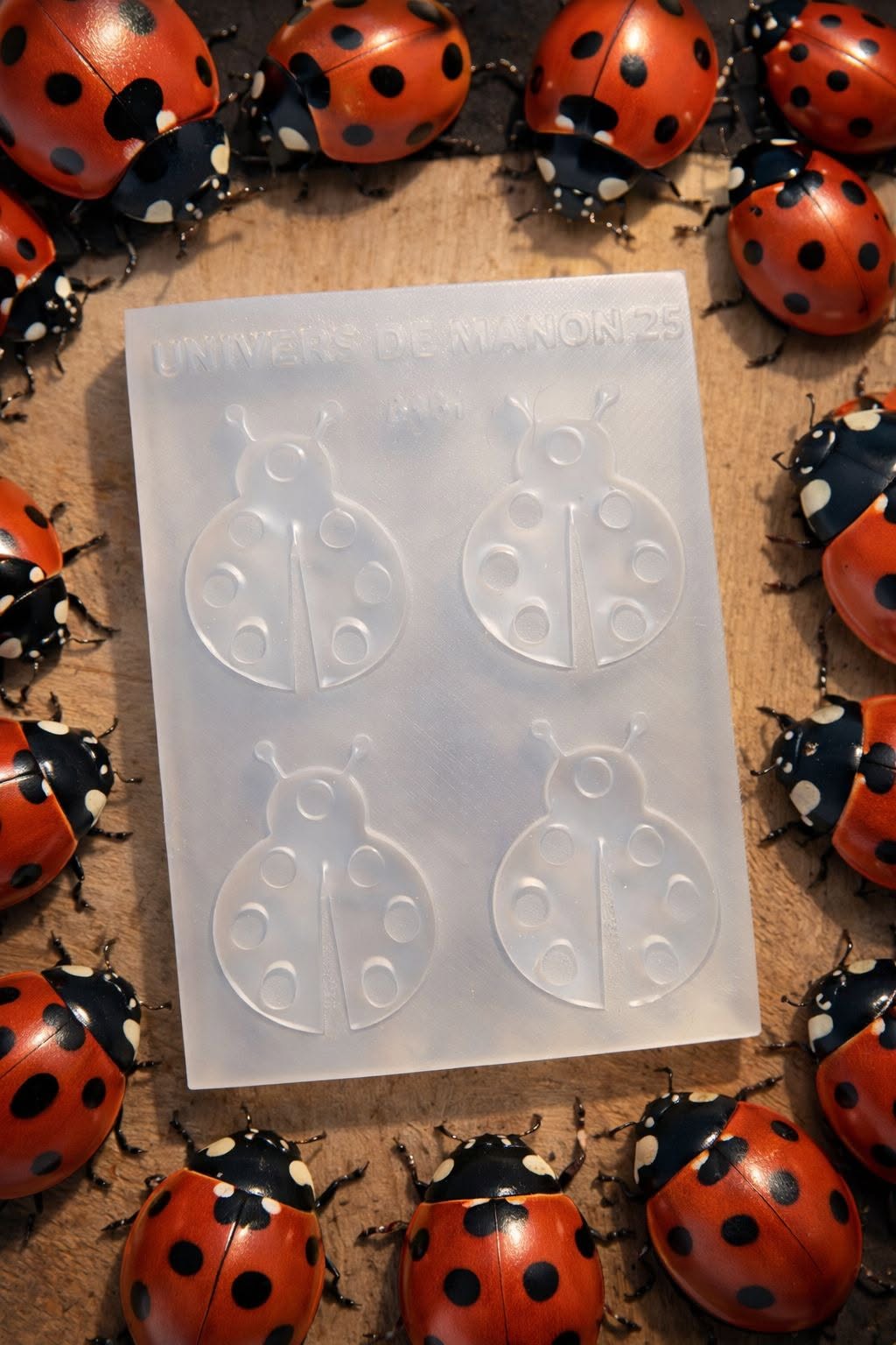 Moule en silicone Coccinelles 🐞