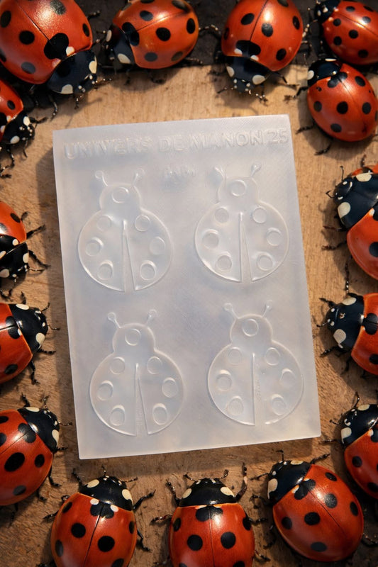 Moule en silicone Coccinelles 🐞